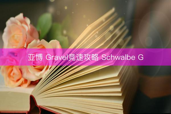 亚博 Gravel竞速攻略 Schwalbe G