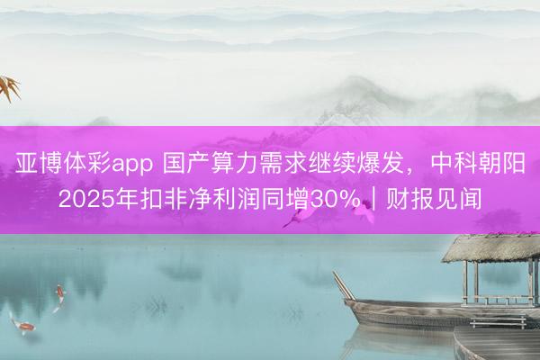 亚博体彩app 国产算力需求继续爆发，中科朝阳2025年扣非净利润同增30%｜财报见闻