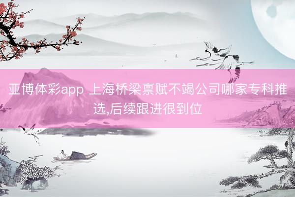 亚博体彩app 上海桥梁禀赋不竭公司哪家专科推选,后续跟进很到位