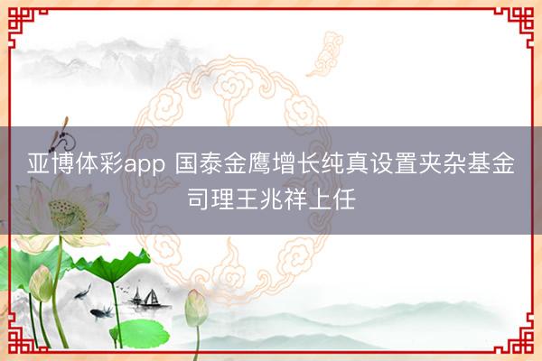 亚博体彩app 国泰金鹰增长纯真设置夹杂基金司理王兆祥上任