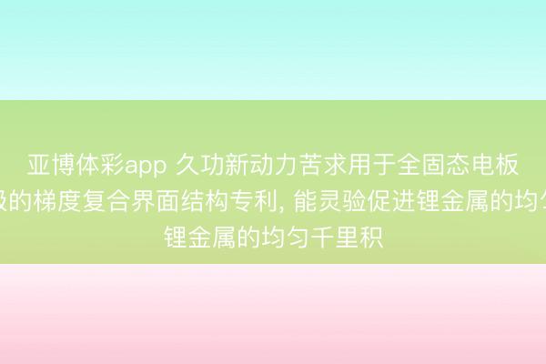亚博体彩app 久功新动力苦求用于全固态电板无锂负极的梯度复合界面结构专利， 能灵验促进锂金属的均匀千里积