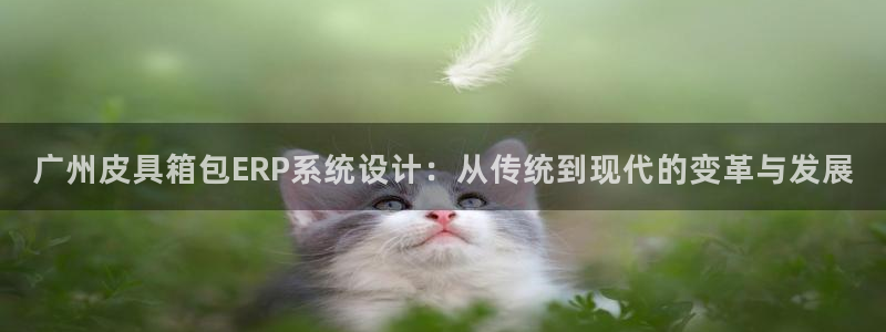 必一体育最新官网入口首页