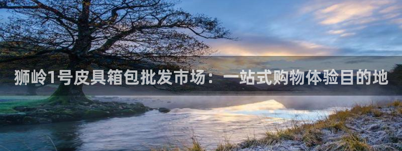 必一体育运动app下载