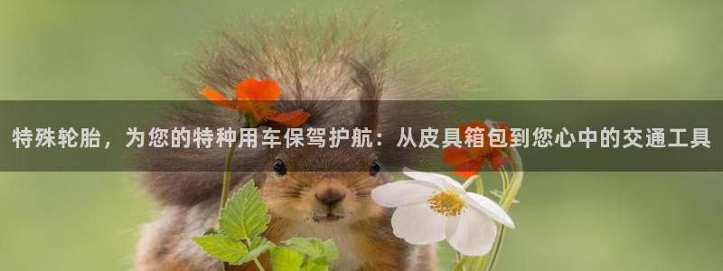 必一体育下载移动版
