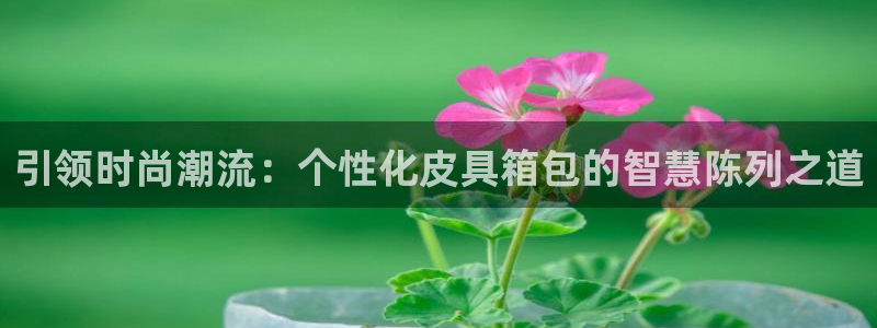 必一体育秀给网