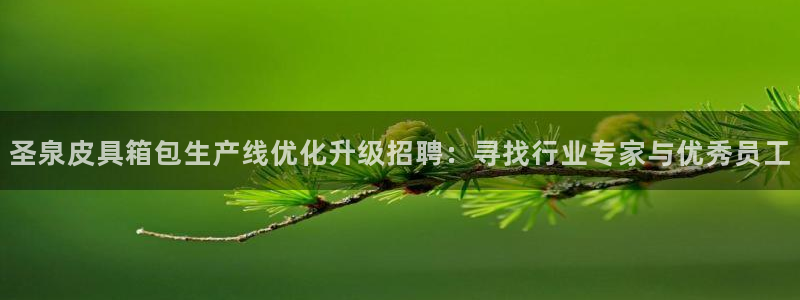 必一体育网页