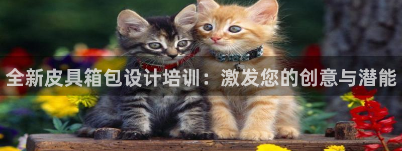 必一体育下载