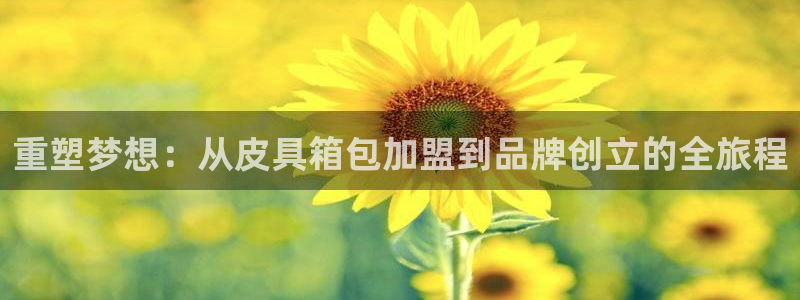 必一体育下载意思