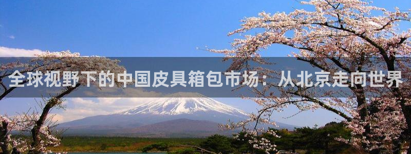 必一体育登陆
