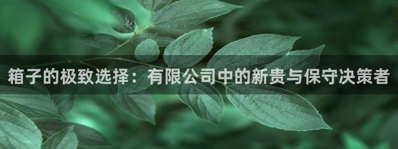 必一体育在线入口
