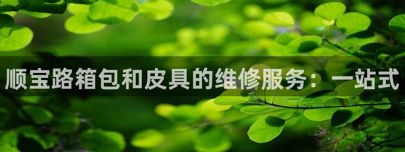 必一运动bsport体育app下载