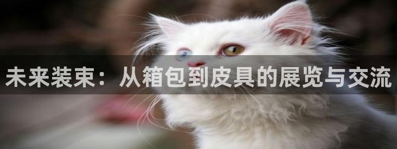 Bsport体育app必一