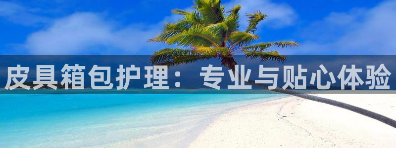 必一运动 b 体育素描版