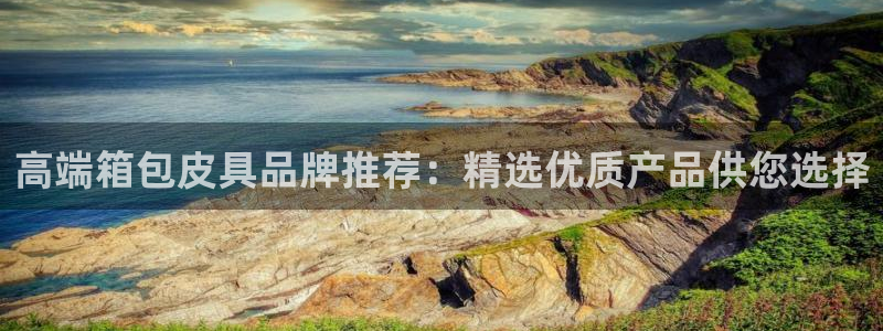 必一运动 b 体育素描版