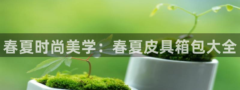 必一体育网页登陆
