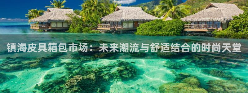 必一体育网页