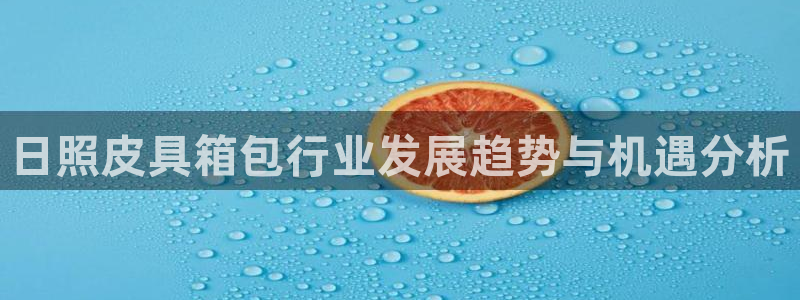 必一体育验证码