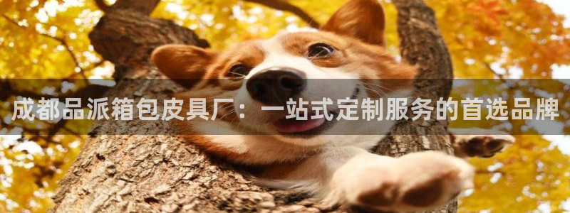 必一体育可靠吗