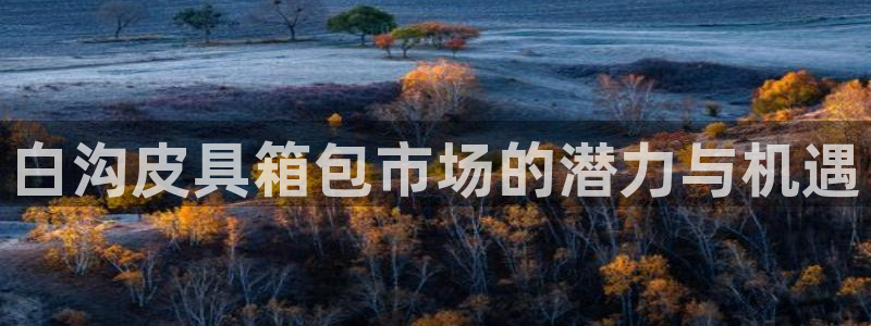 必一运动官网入口