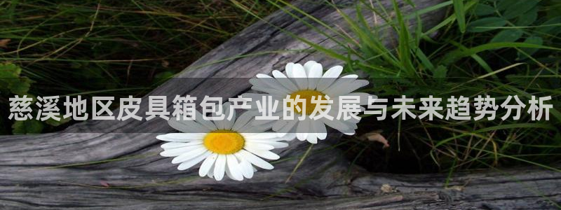 必一体育sport