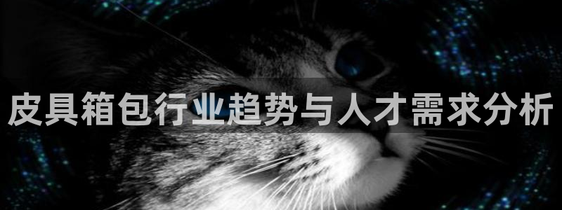 必一运动体育官网