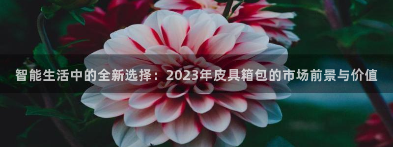 必一体育官方网站入口