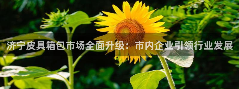 必一体育下载移动版