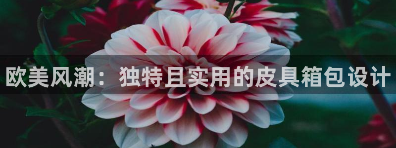 必一体育网页