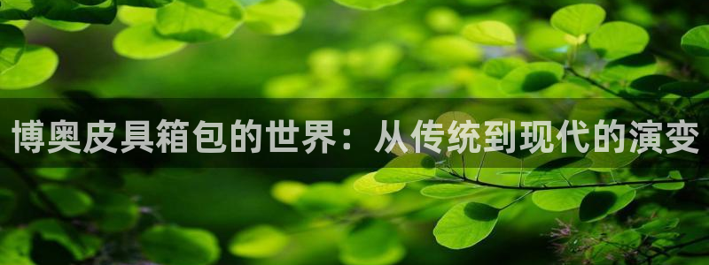 必一体育是啥