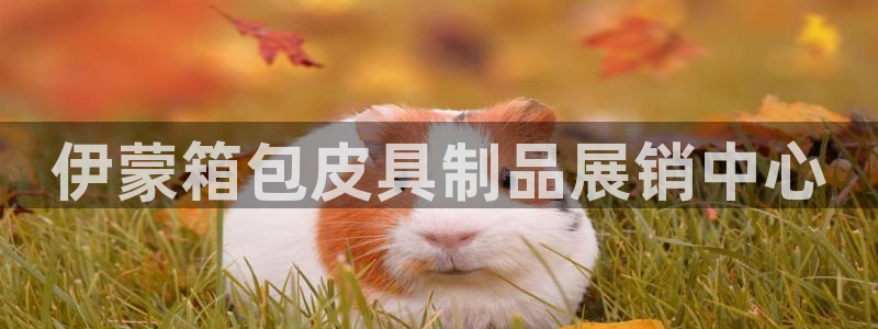 必一运动·(B-Sports)