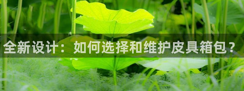 必一体育app官方网站