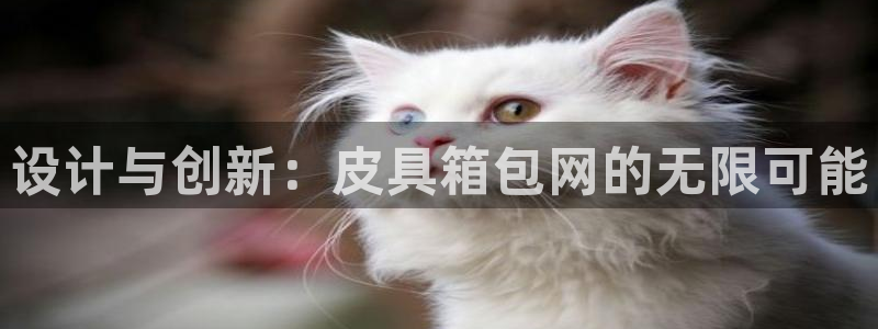 必一体育登陆