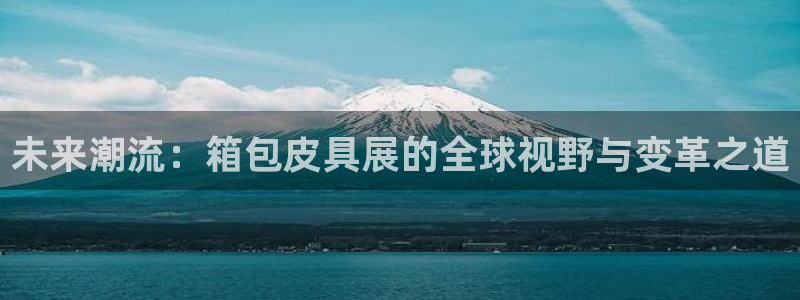 必一体育游戏玩法