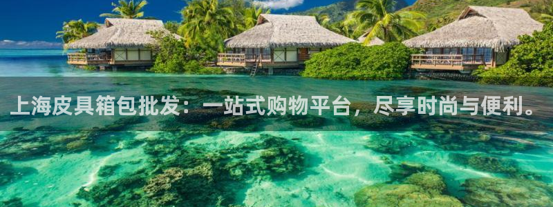 必一体育bsport下载