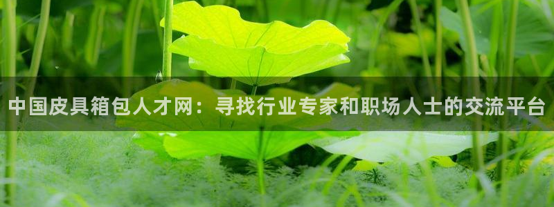 氵必一一厂一