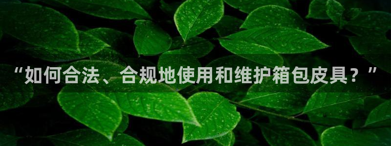 必一运动·(b-sports)官方网站