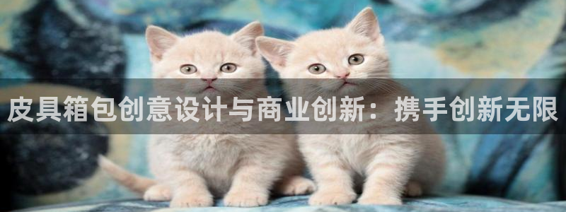 必一运动体