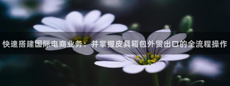 必一体育电子app