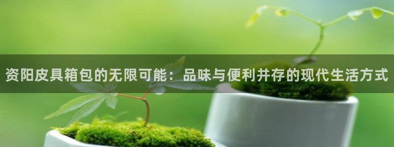 必一运动体